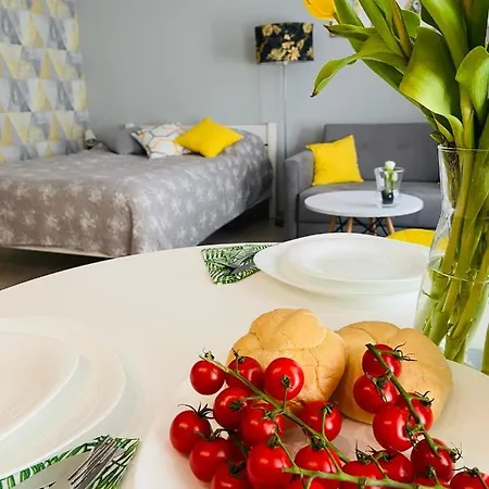 Apartment Na Starowce Iii *